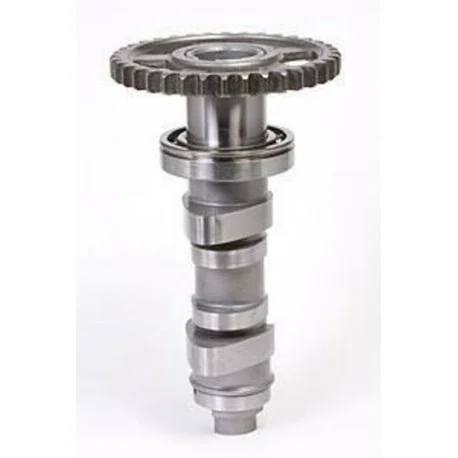 Arbre a cames HOT CAMS – Niveau 1 Honda CRF450R