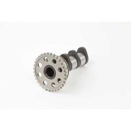 Arbre a cames HOT CAMS – Niveau 1 Honda XR250R