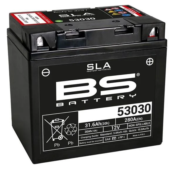 Batterie BS Battery SLA 53030 ferme Type Acide Sans entretien/prête à l’emploi Ref : 53030-SLA / 1080696