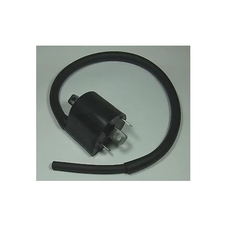 Bobines d’allumage moto SUZUKI DL650 V-STROM SV650 VL800C INTRUDER VZ800 MARAUDER