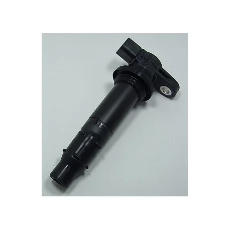 Bobines d’allumage moto YAMAHA XTZ 1200 SUPER TENERE 2010-2012