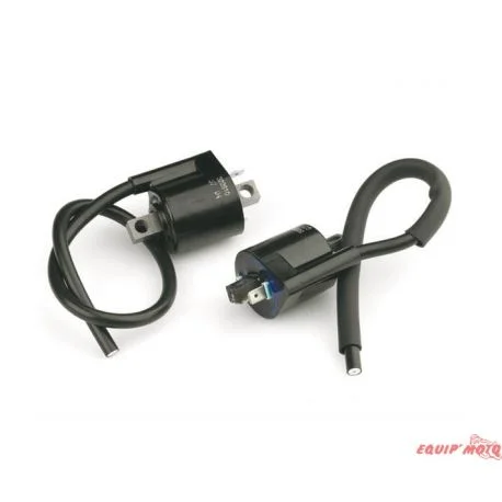 Bobines moteut MINARELLI 50cc volant japonais