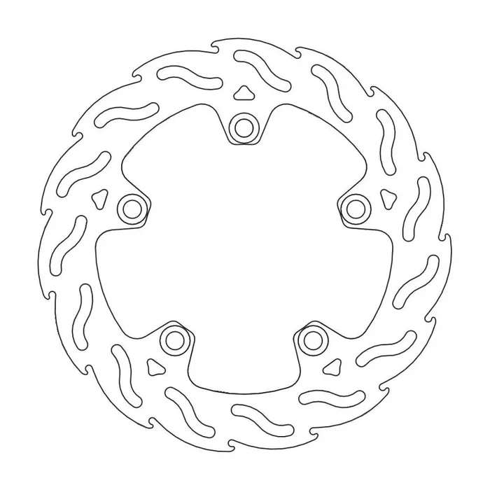 BRAKE DISC FLAME REAR