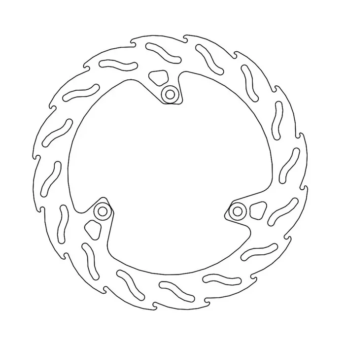 BRAKE DISC FLAME REAR