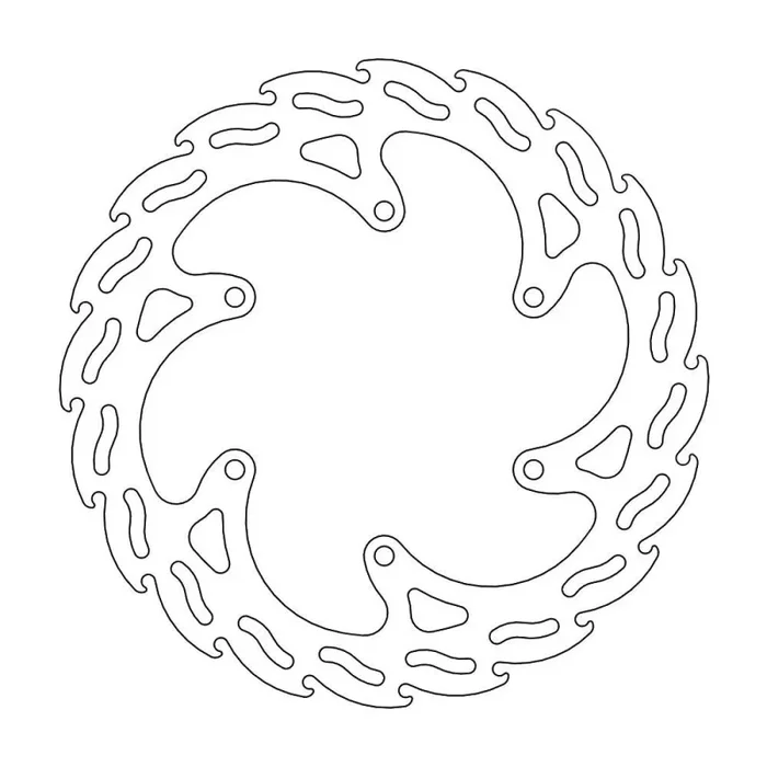 BRAKE DISC FLAME REAR