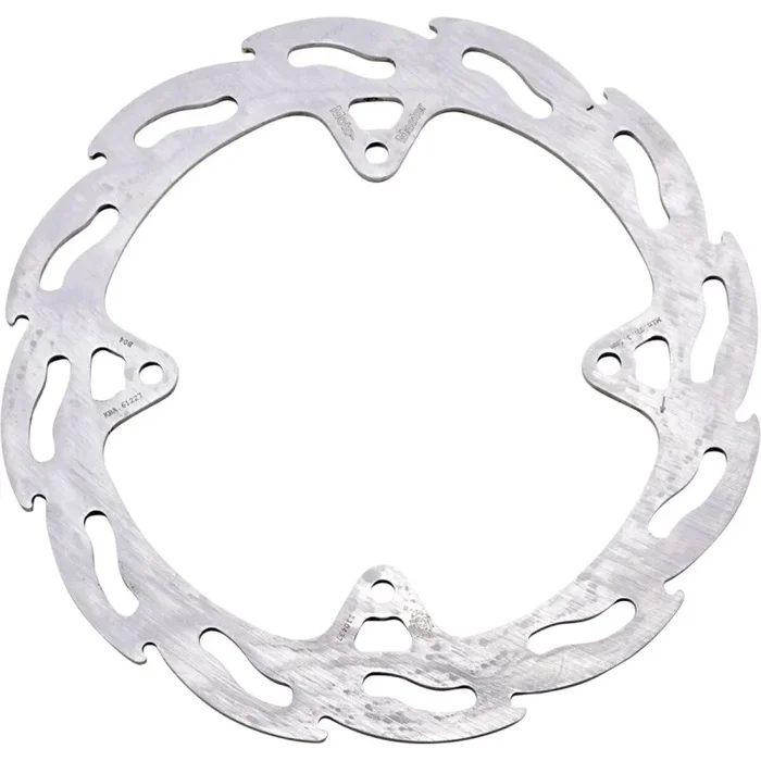 BRAKE DISC FLAME REAR