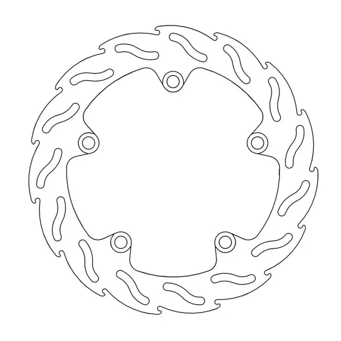 BRAKE DISC FLAME REAR