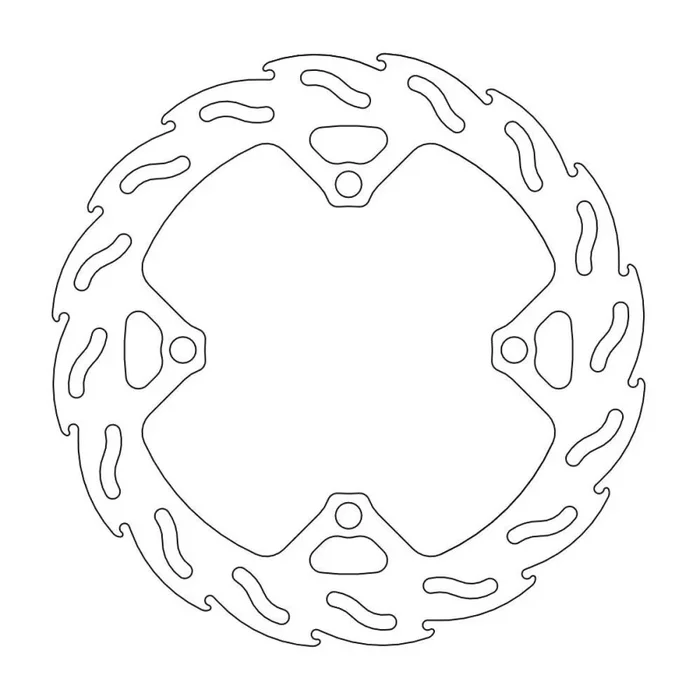 BRAKE DISC FLAME REAR