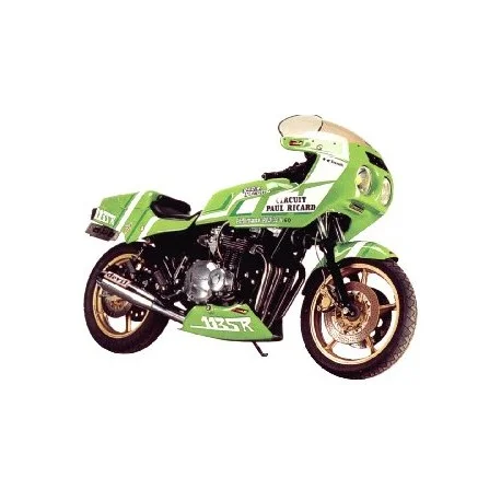 Bulle haute protection ERMAX GODIER GENOUD 1135 R 81-85