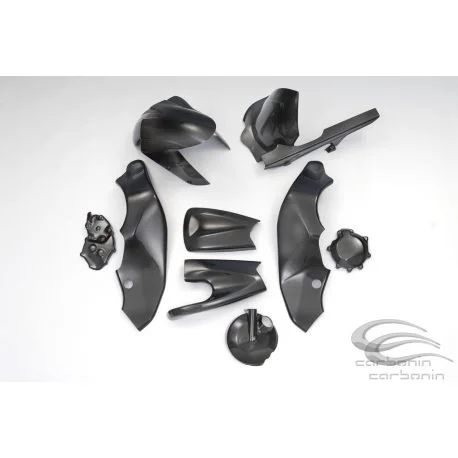Carenage carbone piste KAWASAKI ZX10R 2006-2007