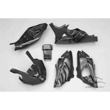 Carenage complet carbone avec partie arriere BMW S1000RR 2012-2014