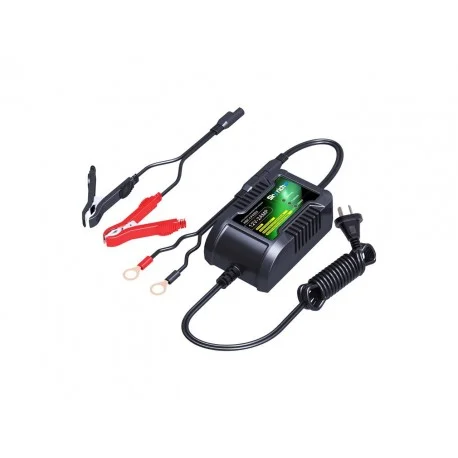 Chargeur de batterie SKYRICH 12V 2Ah