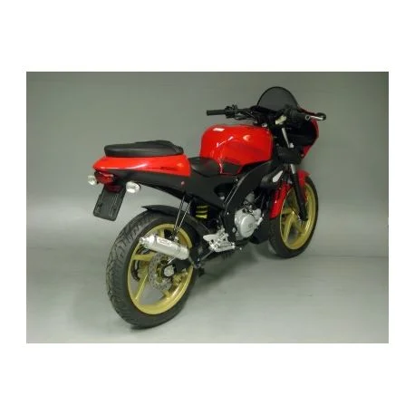 Echappement GIANNELLI APRILIA RS 50 TUONO MBK X-POWER YAMAHA TZR 50 PEUGEOT XR6