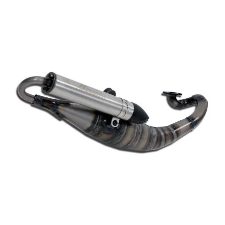 Echappement GIANNELLI REKORD scooter PEUGEOT ELYSEO ROAD TREKKER VIVACITY