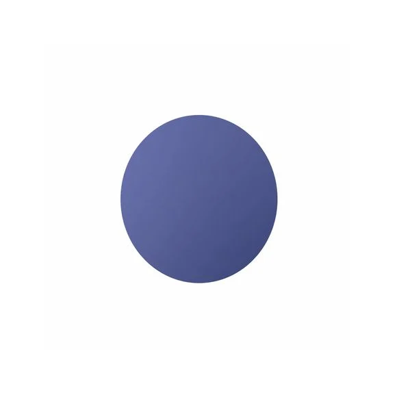 Ecran Masque Scott WORKS IRIDIUM BLEU – BUZZ – Bleu Ref : SCO0824 / 248777282