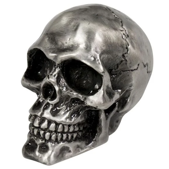 Emblème Highway Hawk Statuette Tête de mort Universel – Gris Ref : HIG0161