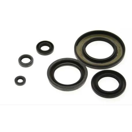Jeu de joints spi CENTAURO APRILIA MOTEUR ROTAX 123 1988 – 2007