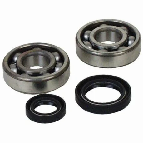 Kit roulements et joints spi de vilebrequin HOT RODS GAS GAS MC 125 HUSQVARNA TE 125 TC 125 KTM EXC 125 SX 125 SX 150 EXC 200