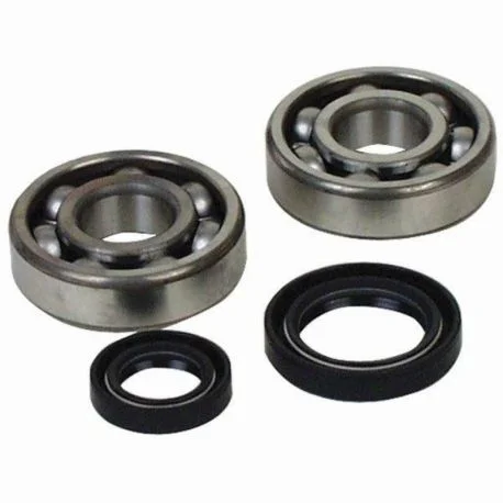 Kit roulements et joints spi de vilebrequin HOT RODS KTM SX-F 250