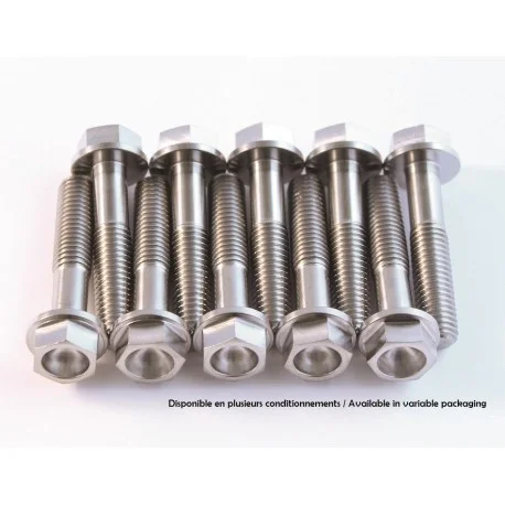 Kit vis titane SCAR M8x30 te de fourche superieur moto