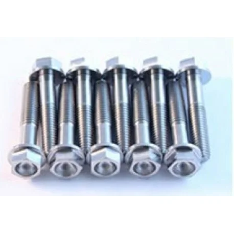 Kit vis titane SCAR pour te de fourche ACS