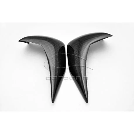 Paire d’ecopes de radiateur carbone KAWASAKI Z750 2007-2008