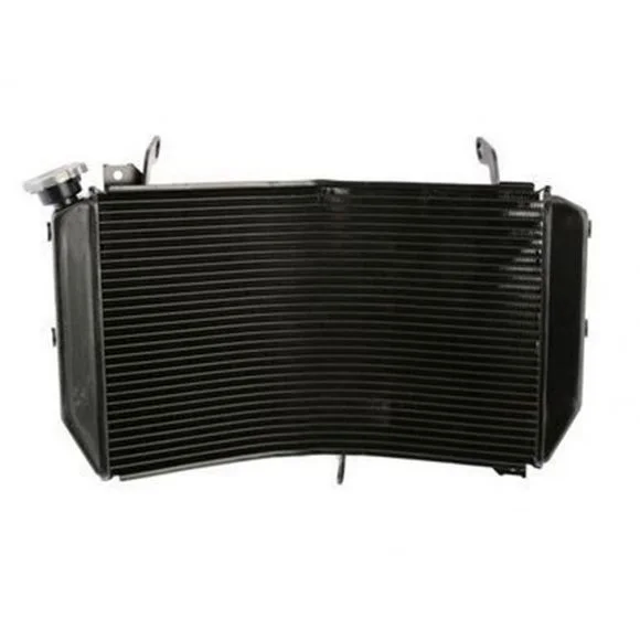 Radiateur Brazoline A EAU ADAPTABLE Ref : 56013