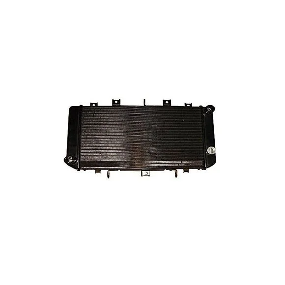 Radiateur Brazoline A EAU ADAPTABLE Ref : RA1430