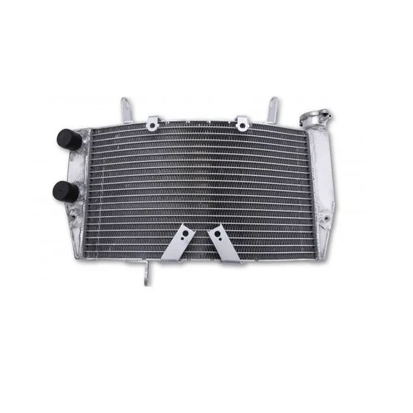 Radiateur Brazoline A EAU ADAPTABLE Ref : RA5002