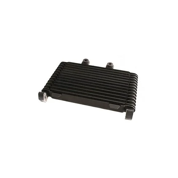 Radiateur Brazoline A HUILE ADAPTABLE Ref : RA2500