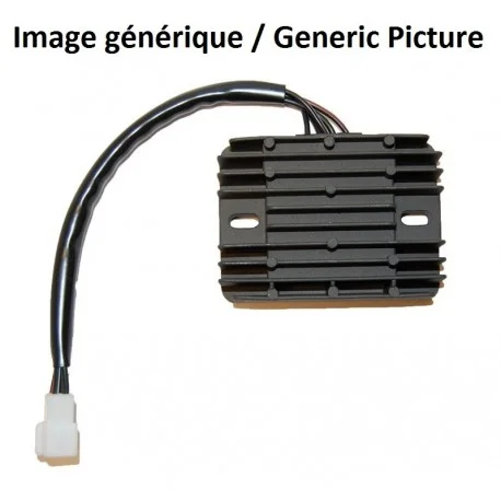 Regulateur ELECTROSPORT – BMW G650