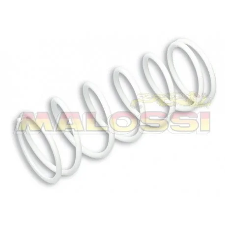 Ressort de poussee renforce MALOSSI Honda FORZA 300