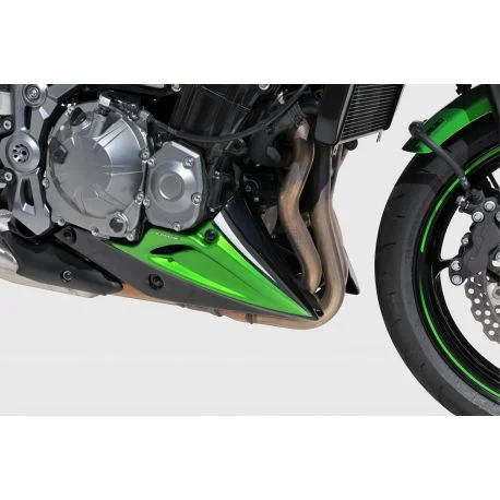 Sabot moteur ERMAX KAWASAKI Z900 2017-2019