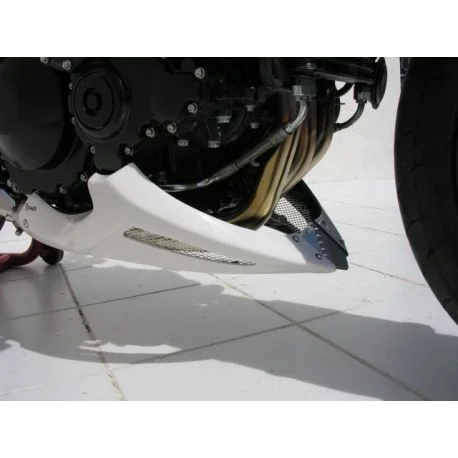 Sabot moteur ERMAX TRIUMPH 1050 SPEED TRIPLE 2005-2007