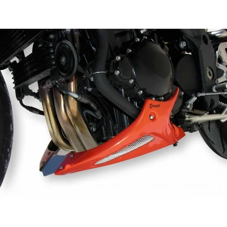 Sabot moteur ERMAX TRIUMPH 1050 SPEED TRIPLE 2008-2010