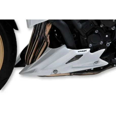 Sabot moteur ERMAX YAMAHA FZ8 2010-2017