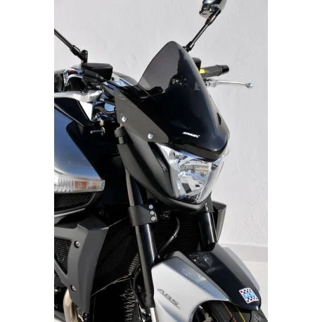 Saute vent ERMAX GSX 1300 B-KING 2008-2011