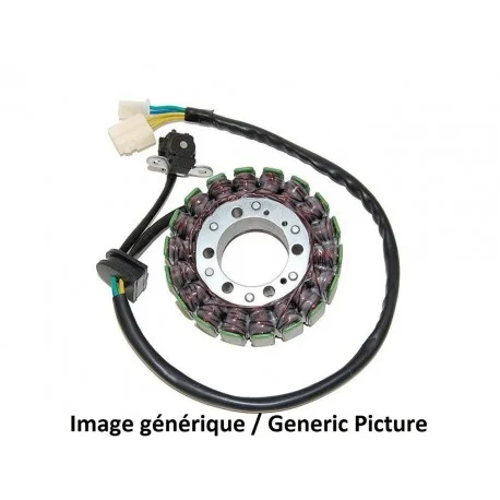 Stator ELECTROSPORT – Yamaha XVS1300