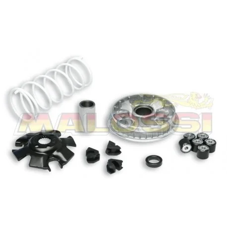 Variateur MALOSSI Multivar 2000 – Suzuki