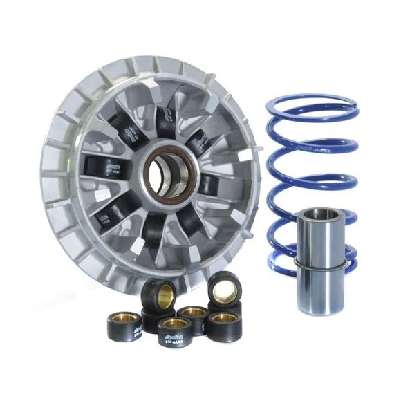 Variateur Polini HI Speed Ref : PN241709 / 1011898