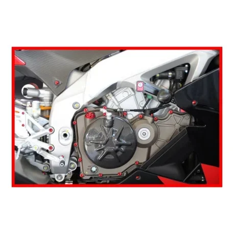 YAMAHA FZ8 ENGINE BOLTS KIT EVOTECH