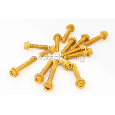 YAMAHA XSR 700 ENGINE HARDWARE KIT EVOTECH
